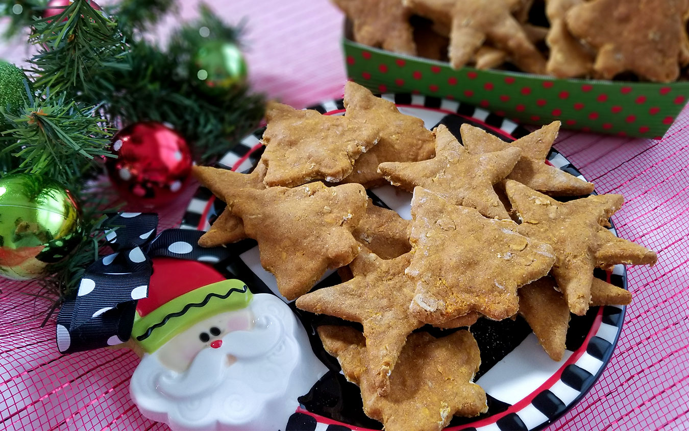 Healthy cookies for dogs