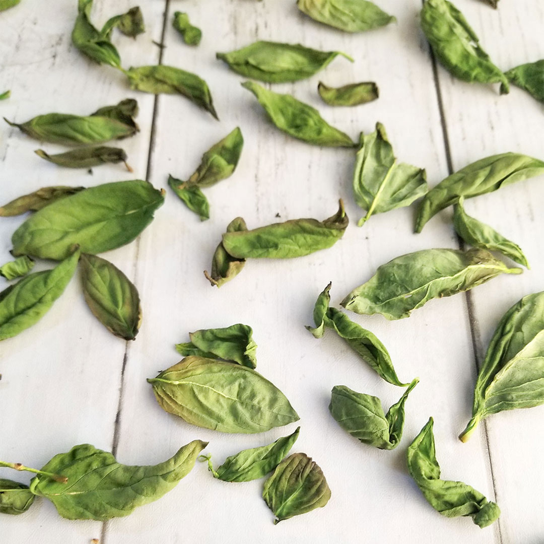 How To Dry Basil - Heart Healthy Greek