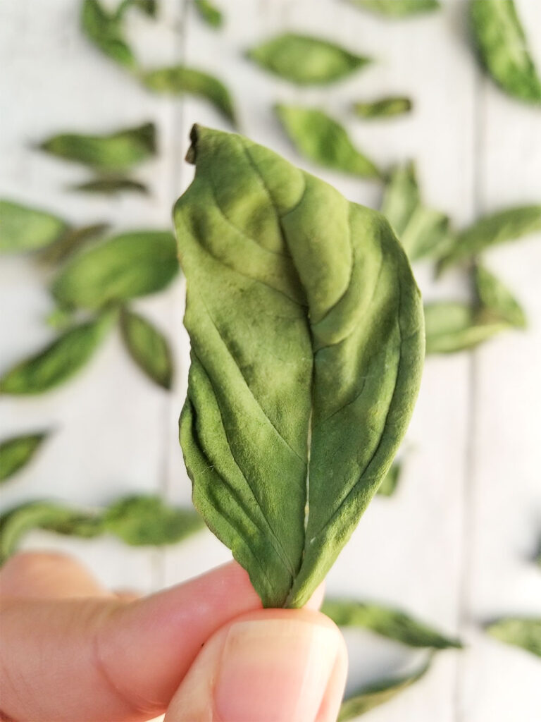 How To Dry Basil - Heart Healthy Greek