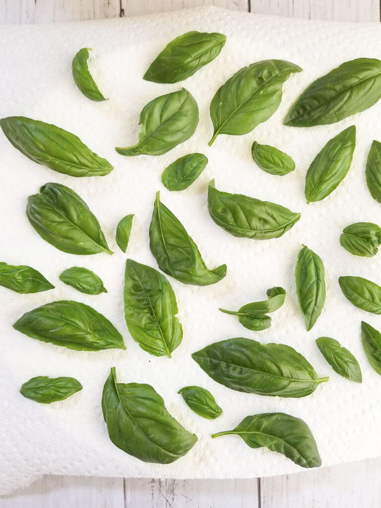 How To Dry Basil - Heart Healthy Greek